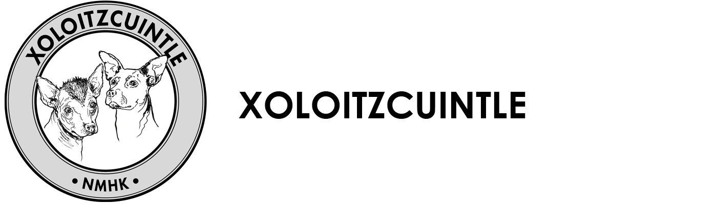 Xoloitzcuintle Logo